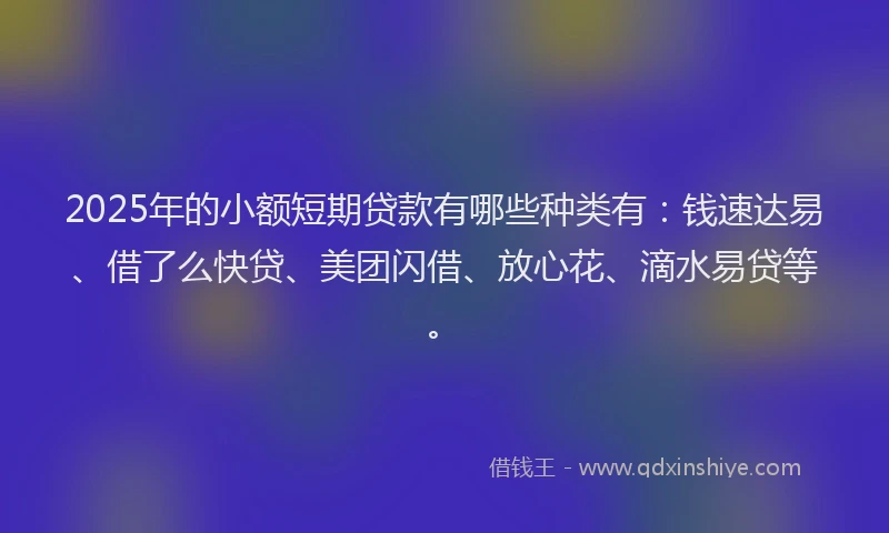 2025年的小额短期贷款有哪些种类有：钱速达易、借了么快贷、美团闪借、放心花、滴水易贷等。