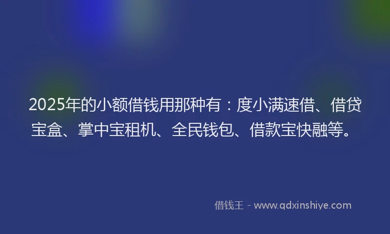 2025年的小额借钱用那种有:度小满速借、借贷宝盒、掌中宝租机、全民钱包、借款宝快融等。