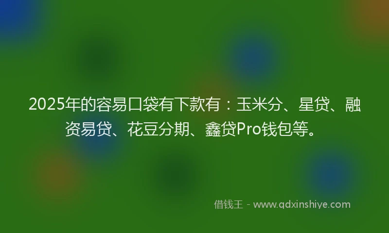 2025年的容易口袋有下款有:玉米分、星贷、融资易贷、花豆分期、鑫贷Pro钱包等。