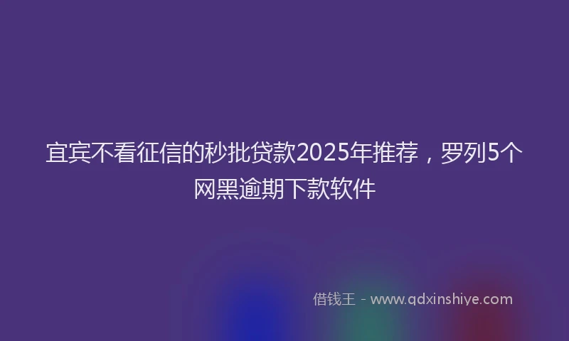 宜宾不看征信的秒批贷款2025年推荐，罗列5个网黑逾期下款软件