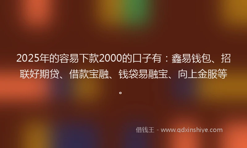 2025年的容易下款2000的口子有：鑫易钱包、招联好期贷、借款宝融、钱袋易融宝、向上金服等。