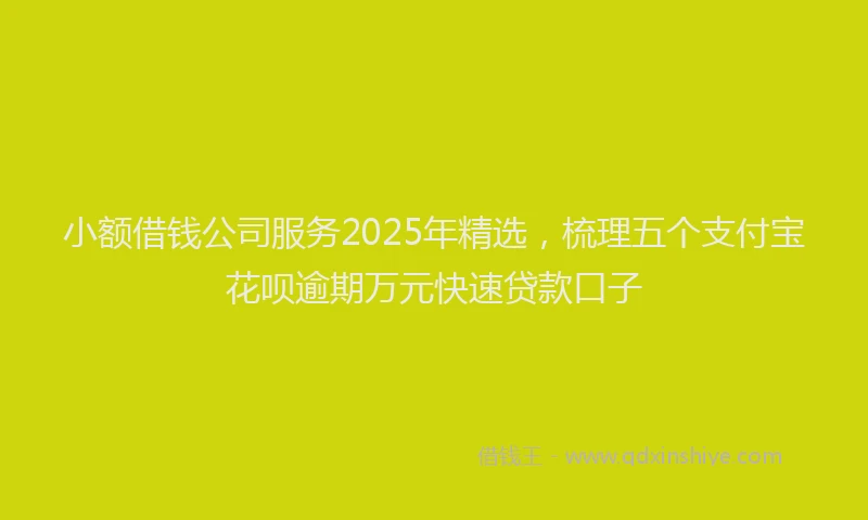 小额借钱公司服务2025年精选，梳理五个支付宝花呗逾期万元快速贷款口子