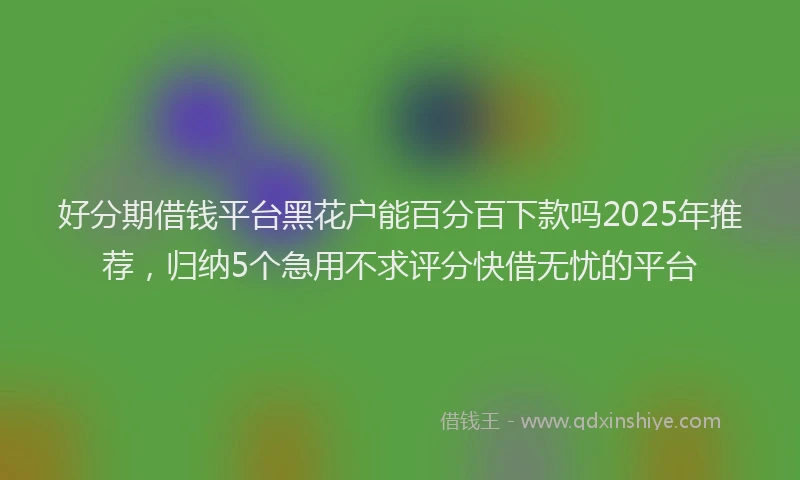 好分期借钱平台黑花户能百分百下款吗2025年推荐，归纳5个急用不求评分快借无忧的平台