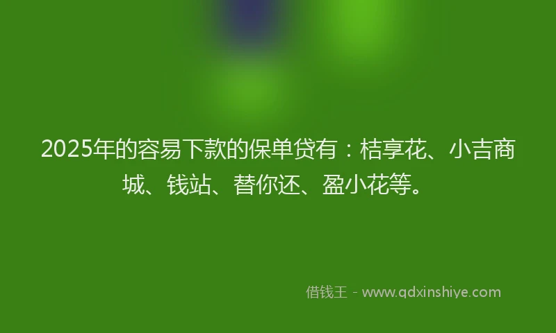 2025年的容易下款的保单贷有：桔享花、小吉商城、钱站、替你还、盈小花等。
