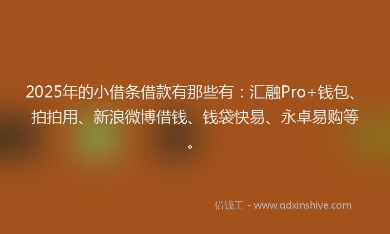 2025年的小借条借款有那些有：汇融Pro+钱包、拍拍用、新浪微博借钱、钱袋快易、永卓易购等。