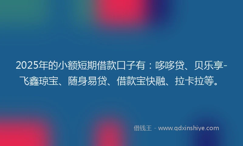 2025年的小额短期借款口子有：哆哆贷、贝乐享-飞鑫琼宝、随身易贷、借款宝快融、拉卡拉等。