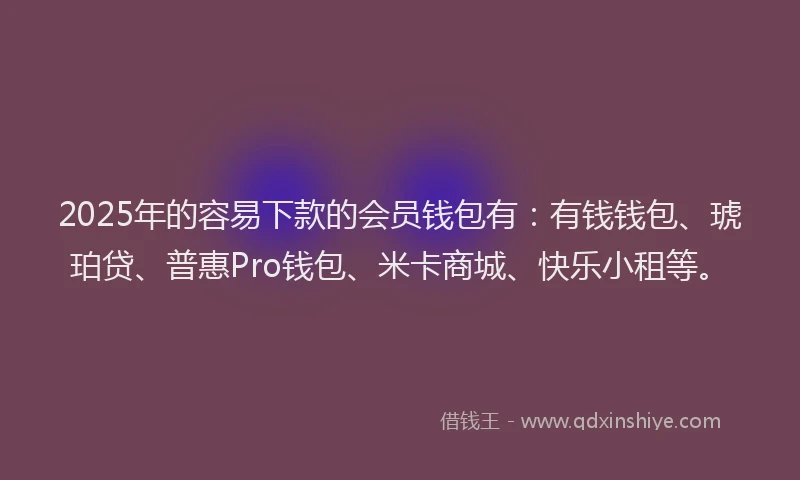 2025年的容易下款的会员钱包有：有钱钱包、琥珀贷、普惠Pro钱包、米卡商城、快乐小租等。