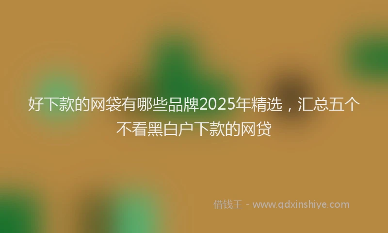 好下款的网袋有哪些品牌2025年精选，汇总五个不看黑白户下款的网贷
