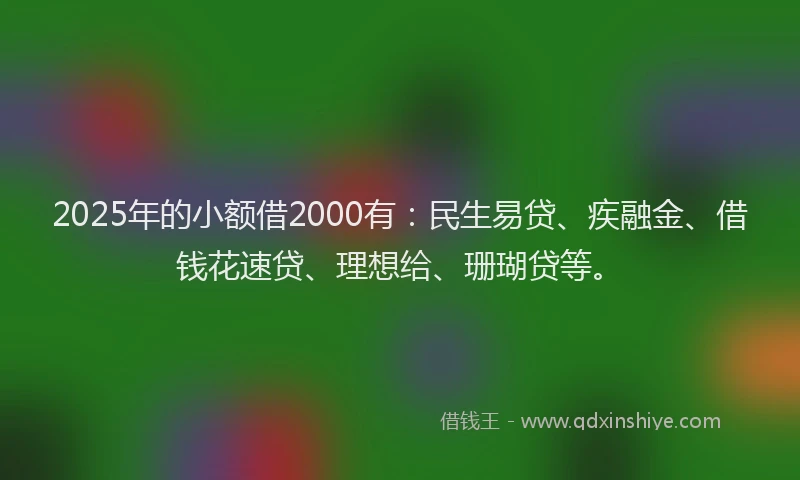 2025年的小额借2000有：民生易贷、疾融金、借钱花速贷、理想给、珊瑚贷等。