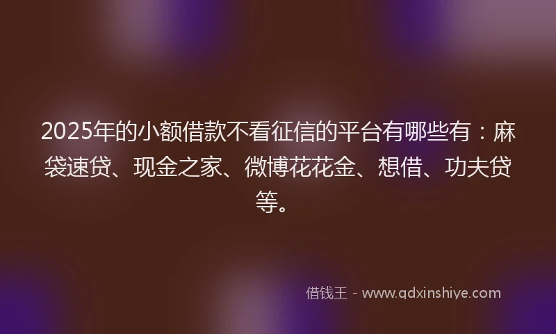 2025年的小额借款不看征信的平台有哪些有：麻袋速贷、现金之家、微博花花金、想借、功夫贷等。