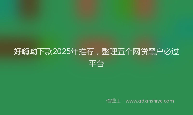 好嗨呦下款2025年推荐，整理五个网贷黑户必过平台