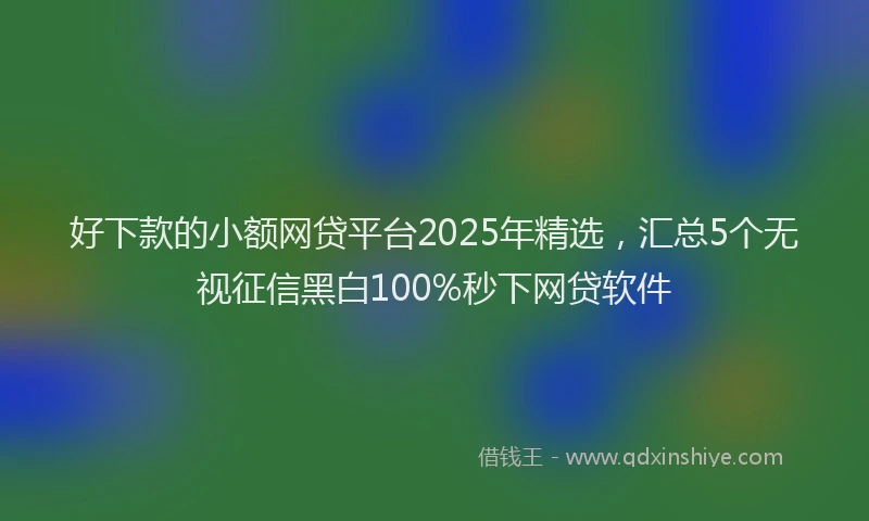 好下款的小额网贷平台2025年精选，汇总5个无视征信黑白100%秒下网贷软件