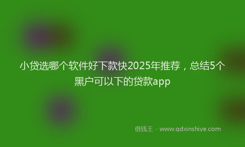 小贷选哪个软件好下款快2025年推荐，总结5个黑户可以下的贷款app