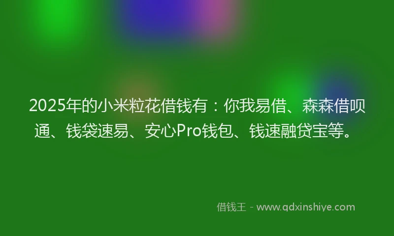 2025年的小米粒花借钱有：你我易借、森森借呗通、钱袋速易、安心Pro钱包、钱速融贷宝等。