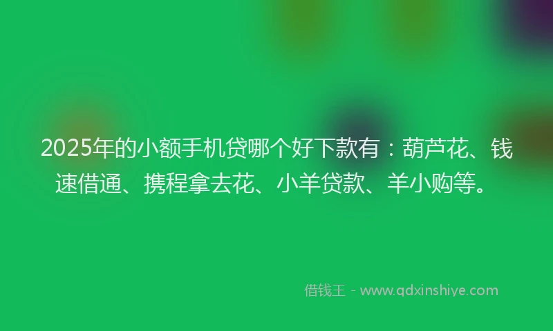 2025年的小额手机贷哪个好下款有：葫芦花、钱速借通、携程拿去花、小羊贷款、羊小购等。