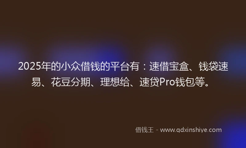 2025年的小众借钱的平台有：速借宝盒、钱袋速易、花豆分期、理想给、速贷Pro钱包等。