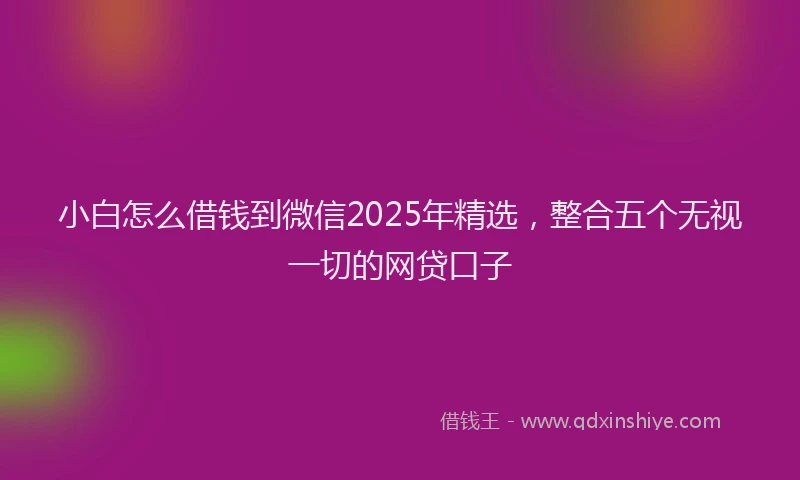 小白怎么借钱到微信2025年精选，整合五个无视一切的网贷口子