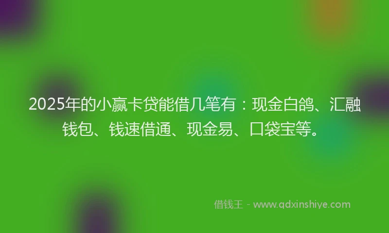 2025年的小赢卡贷能借几笔有：现金白鸽、汇融钱包、钱速借通、现金易、口袋宝等。