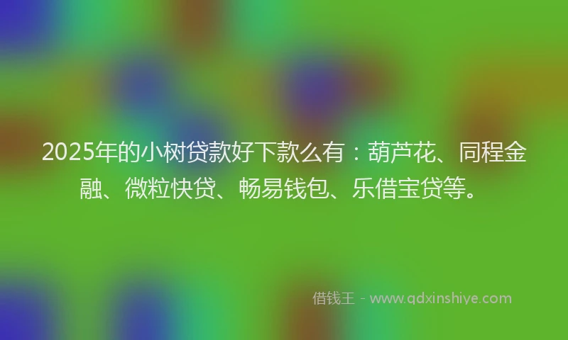 2025年的小树贷款好下款么有：葫芦花、同程金融、微粒快贷、畅易钱包、乐借宝贷等。