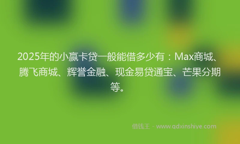 2025年的小赢卡贷一般能借多少有：Max商城、腾飞商城、辉誉金融、现金易贷通宝、芒果分期等。