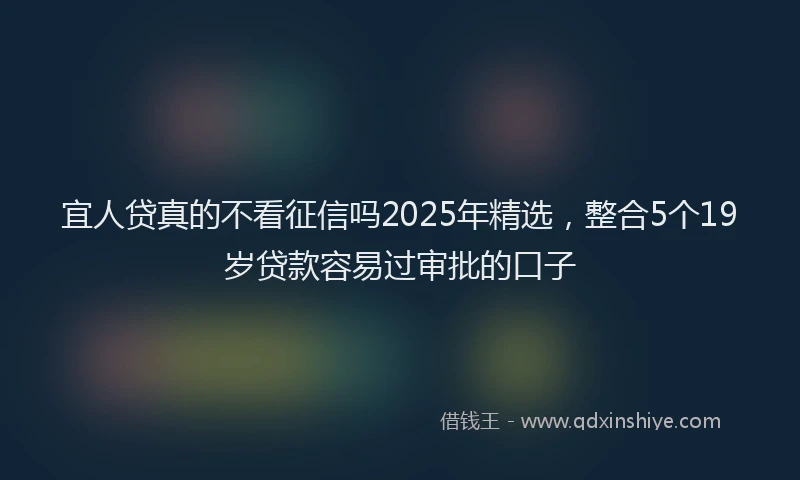 宜人贷真的不看征信吗2025年精选，整合5个19岁贷款容易过审批的口子