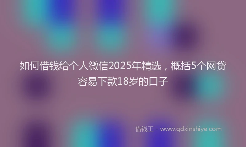 如何借钱给个人微信2025年精选，概括5个网贷容易下款18岁的口子