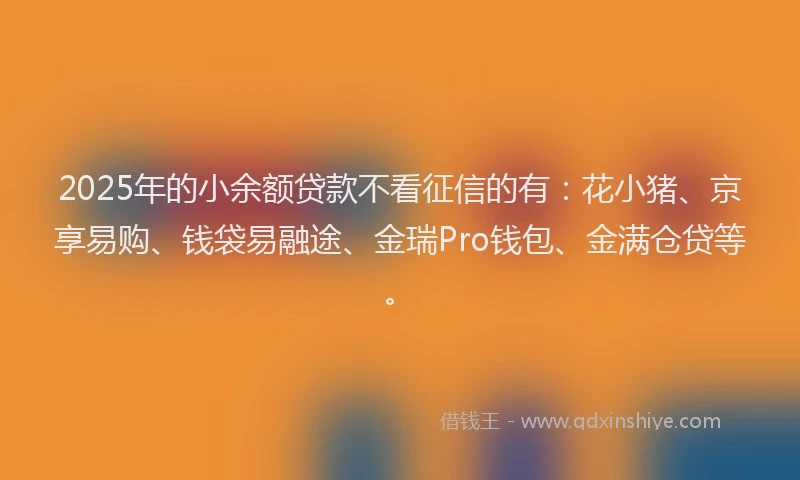 2025年的小余额贷款不看征信的有：花小猪、京享易购、钱袋易融途、金瑞Pro钱包、金满仓贷等。