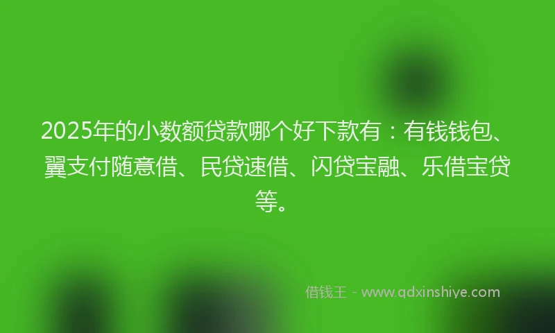 2025年的小数额贷款哪个好下款有：有钱钱包、翼支付随意借、民贷速借、闪贷宝融、乐借宝贷等。