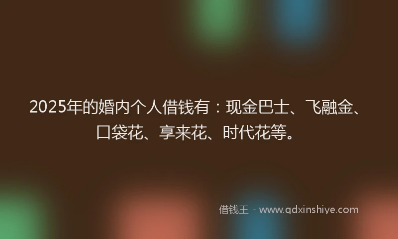2025年的婚内个人借钱有：现金巴士、飞融金、口袋花、享来花、时代花等。