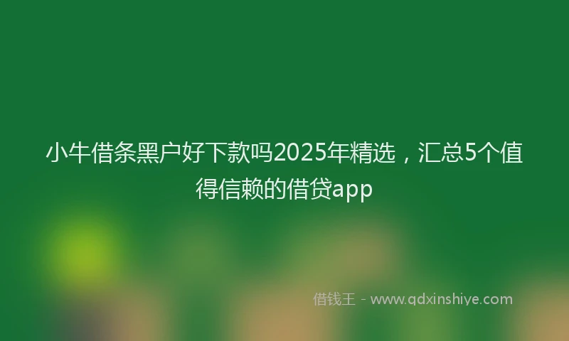 小牛借条黑户好下款吗2025年精选，汇总5个值得信赖的借贷app