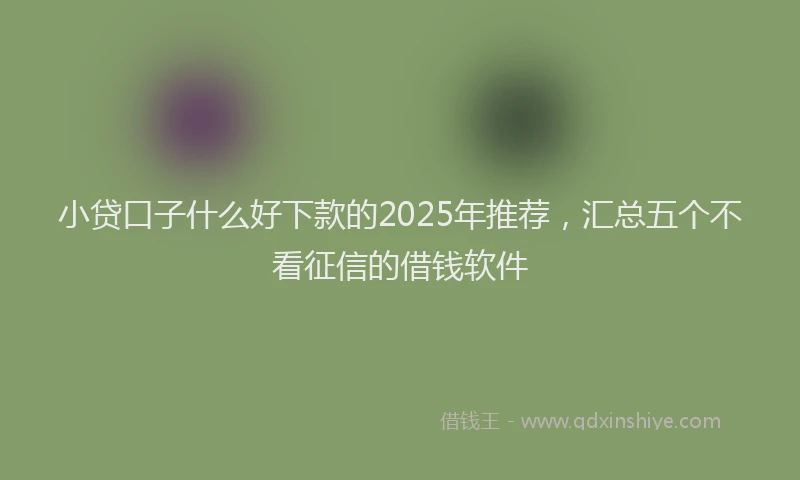 小贷口子什么好下款的2025年推荐，汇总五个不看征信的借钱软件