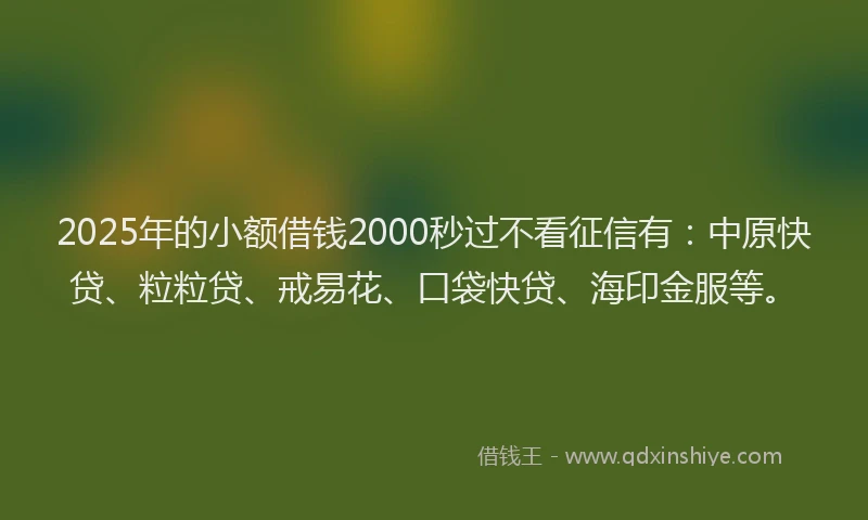 2025年的小额借钱2000秒过不看征信有：中原快贷、粒粒贷、戒易花、口袋快贷、海印金服等。