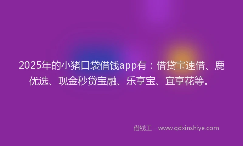 2025年的小猪口袋借钱app有：借贷宝速借、鹿优选、现金秒贷宝融、乐享宝、宜享花等。