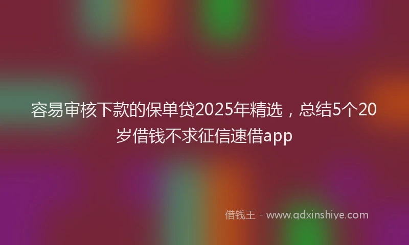 容易审核下款的保单贷2025年精选，总结5个20岁借钱不求征信速借app