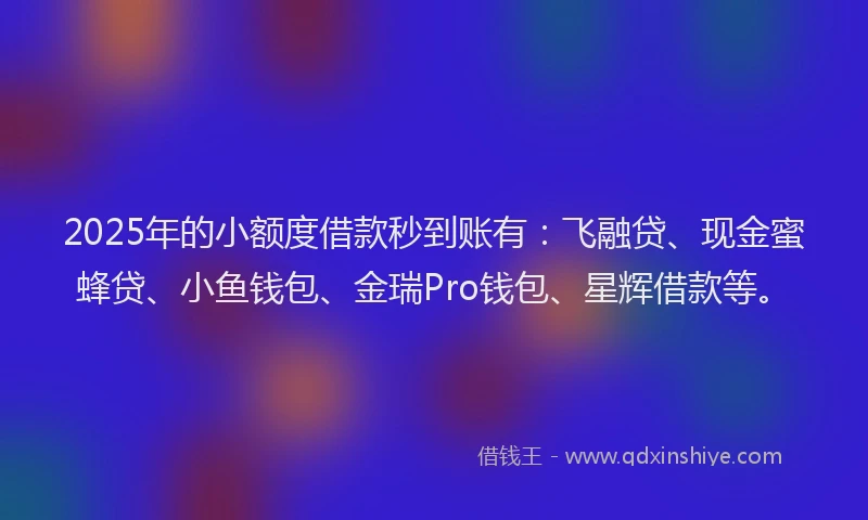 2025年的小额度借款秒到账有：飞融贷、现金蜜蜂贷、小鱼钱包、金瑞Pro钱包、星辉借款等。