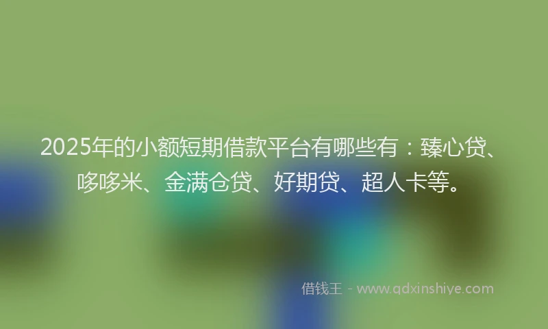 2025年的小额短期借款平台有哪些有：臻心贷、哆哆米、金满仓贷、好期贷、超人卡等。