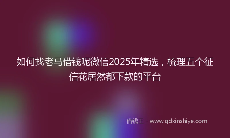如何找老马借钱呢微信2025年精选，梳理五个征信花居然都下款的平台