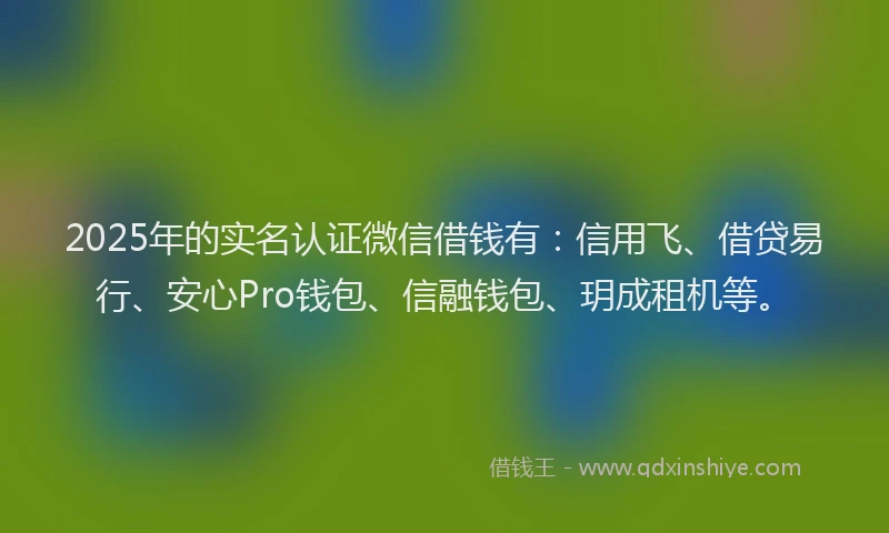 2025年的实名认证微信借钱有：信用飞、借贷易行、安心Pro钱包、信融钱包、玥成租机等。