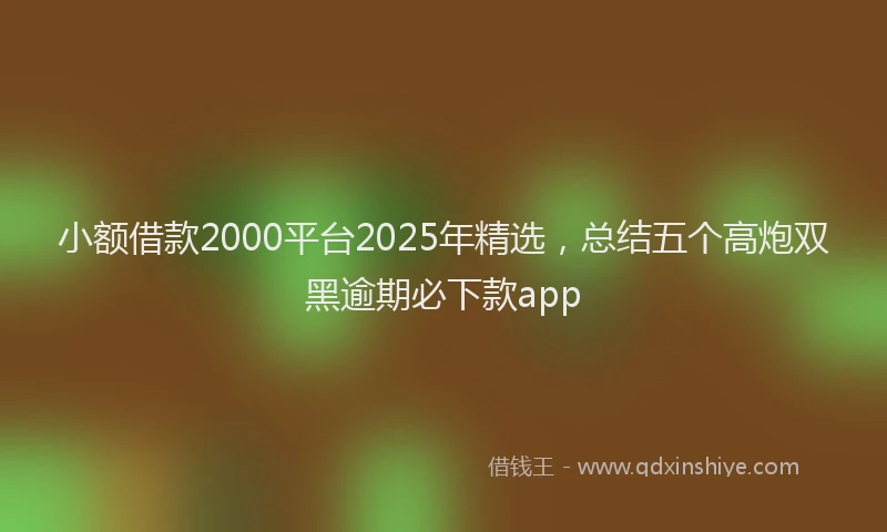 小额借款2000平台2025年精选，总结五个高炮双黑逾期必下款app