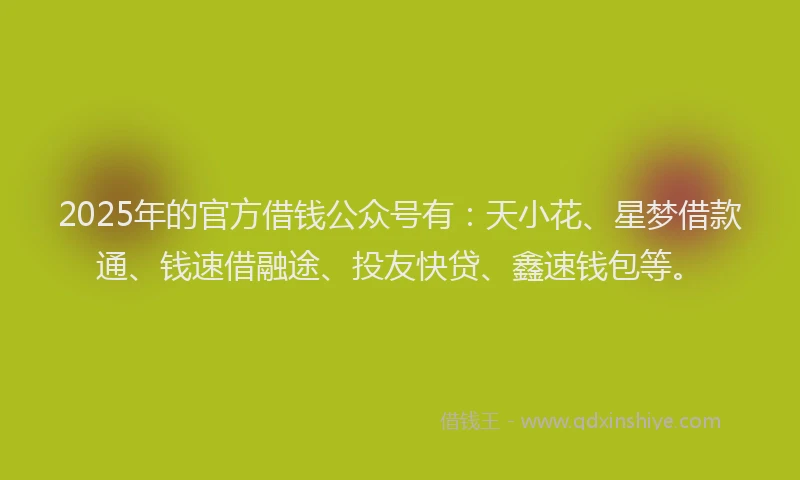 2025年的官方借钱公众号有：天小花、星梦借款通、钱速借融途、投友快贷、鑫速钱包等。
