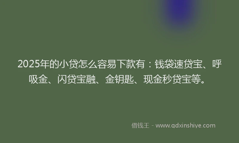 2025年的小贷怎么容易下款有：钱袋速贷宝、呼吸金、闪贷宝融、金钥匙、现金秒贷宝等。