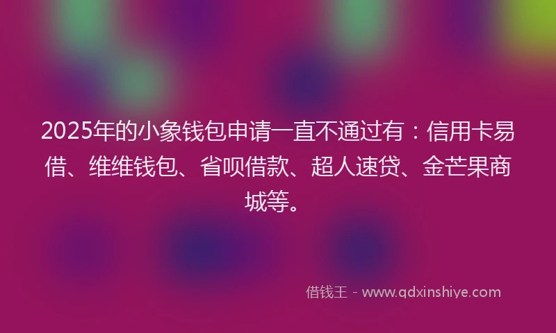 2025年的小象钱包申请一直不通过有：信用卡易借、维维钱包、省呗借款、超人速贷、金芒果商城等。