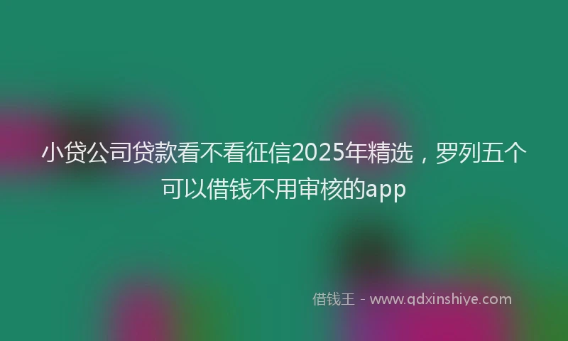 小贷公司贷款看不看征信2025年精选，罗列五个可以借钱不用审核的app