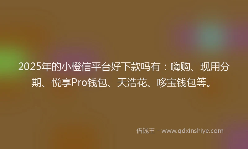 2025年的小橙信平台好下款吗有：嗨购、现用分期、悦享Pro钱包、天浩花、哆宝钱包等。
