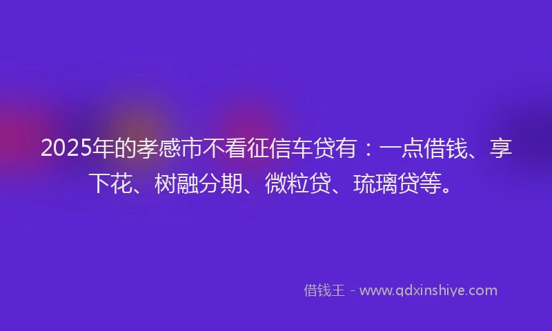 2025年的孝感市不看征信车贷有：一点借钱、享下花、树融分期、微粒贷、琉璃贷等。