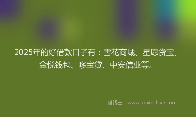 2025年的好借款口子有：雪花商城、星愿贷宝、金悦钱包、哆宝贷、中安信业等。