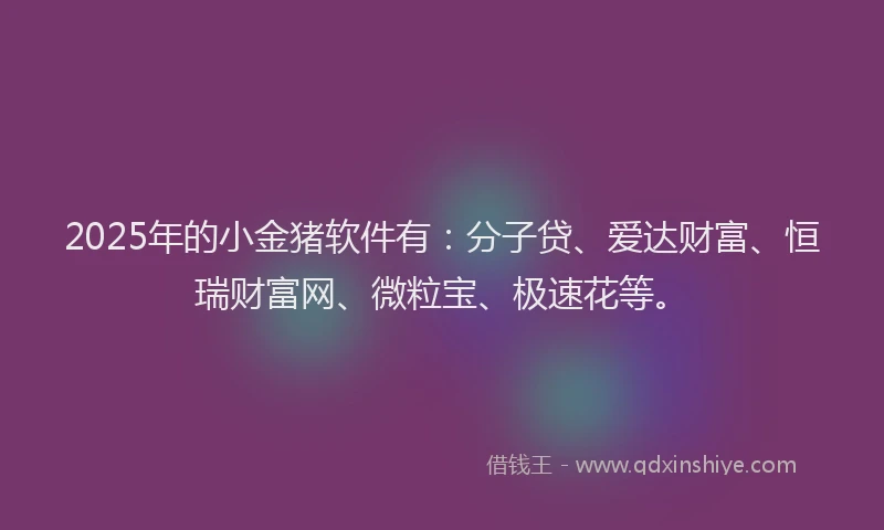 2025年的小金猪软件有：分子贷、爱达财富、恒瑞财富网、微粒宝、极速花等。