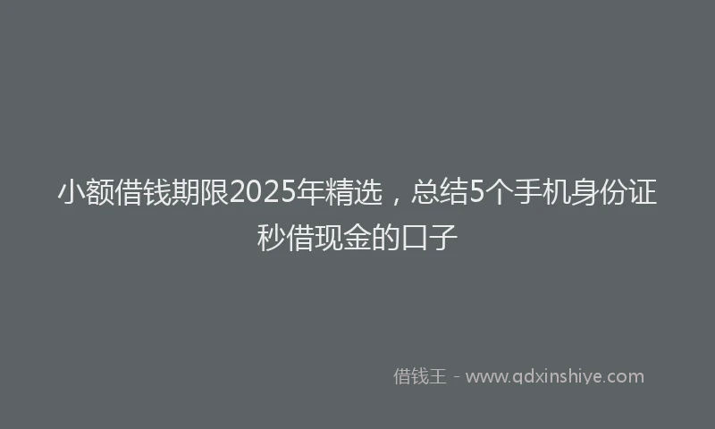 小额借钱期限2025年精选，总结5个手机身份证秒借现金的口子