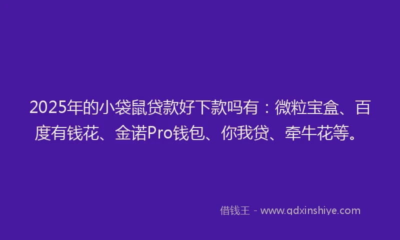 2025年的小袋鼠贷款好下款吗有：微粒宝盒、百度有钱花、金诺Pro钱包、你我贷、牵牛花等。