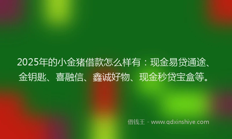 2025年的小金猪借款怎么样有：现金易贷通途、金钥匙、喜融信、鑫诚好物、现金秒贷宝盒等。